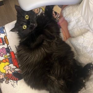 Meet your Posher, Mandy